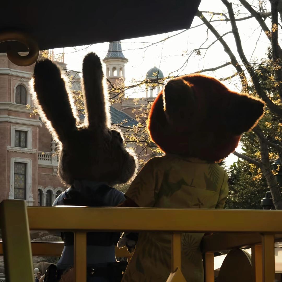 犯困的薯条🌟💧