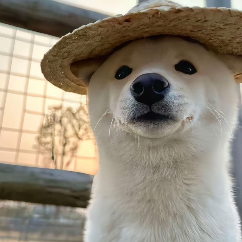 狮子座大王