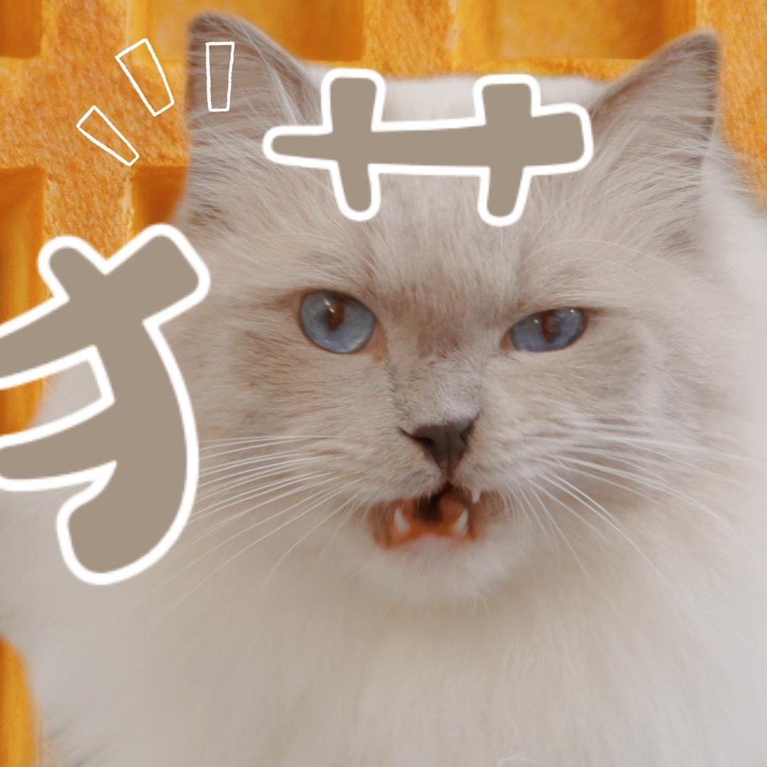 _Zz