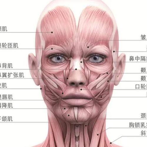 黑总讲话