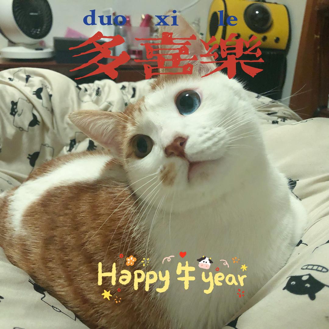 凑凑呀凑凑