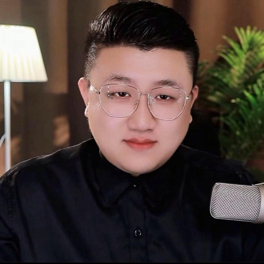 辰阳办大事29