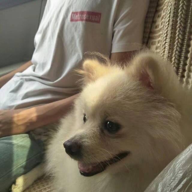 秦澤