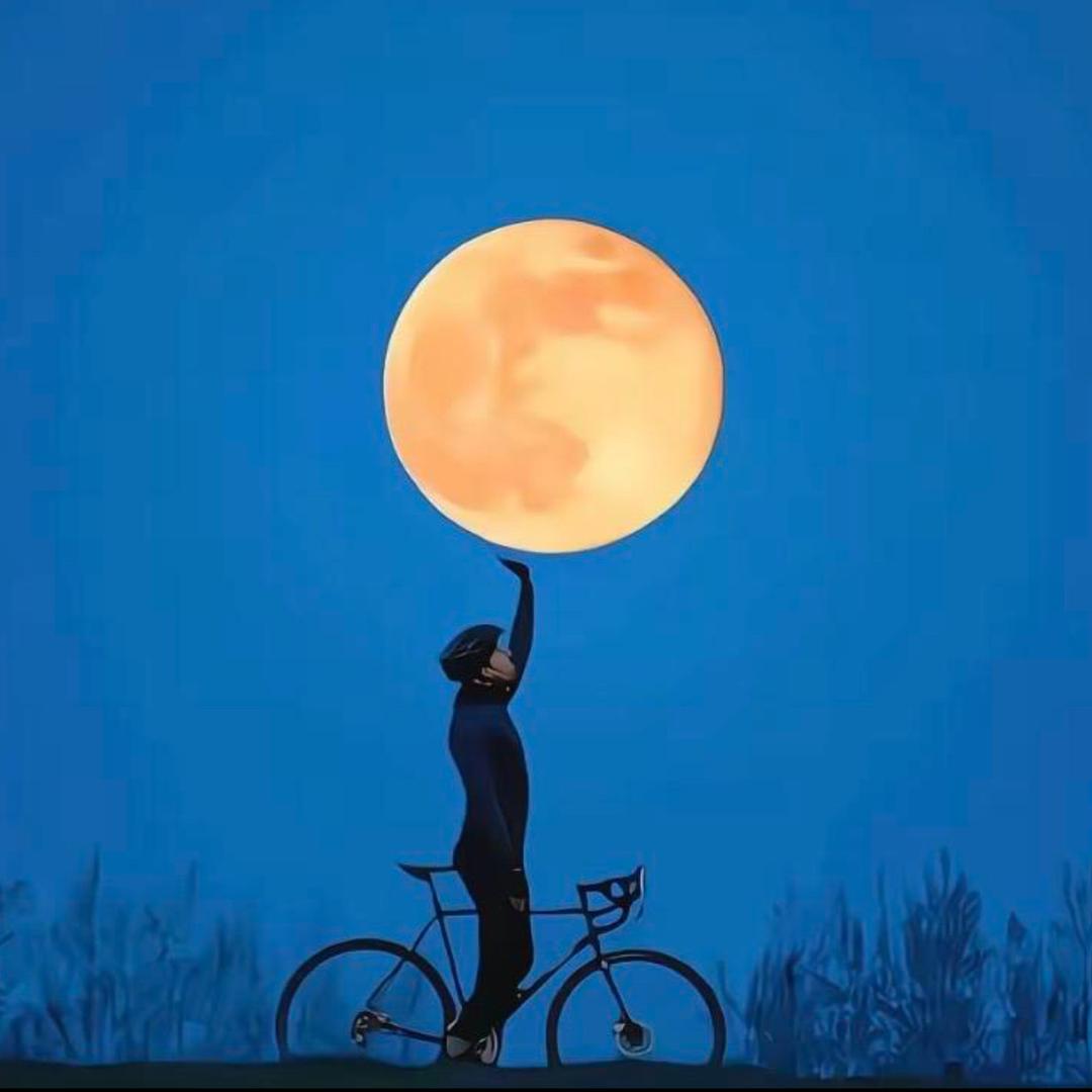 森森归来