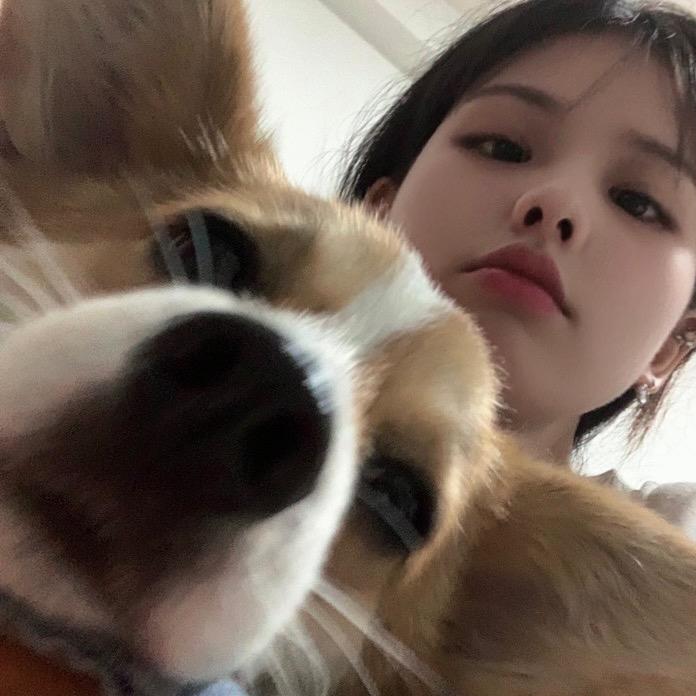 不吃宵夜🐣