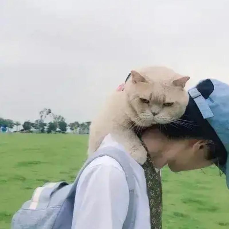 忠诚检测喷雾