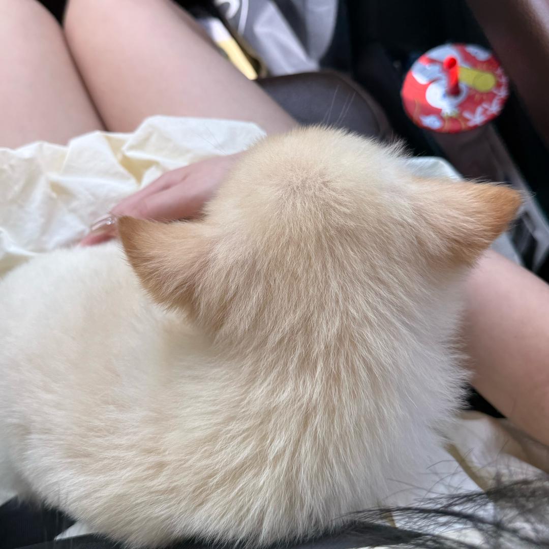 今年能死就别等明年