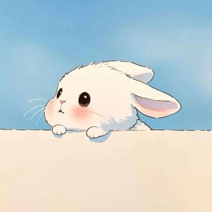 ʚ•ᴗ•ɞ⁺₊⁺ 诺诺⊹꙳𑁍ࠬ  ⋆꙳