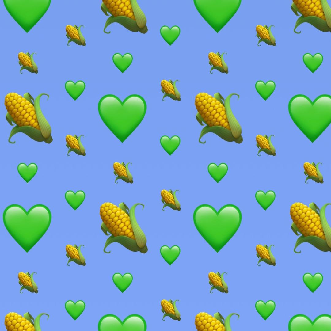 新疆农润种业有限责任公司