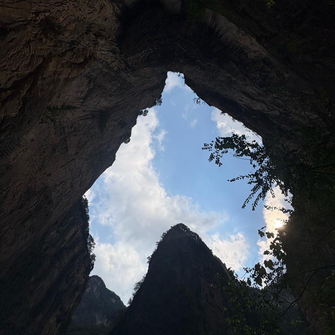 😘双双呀！🌱