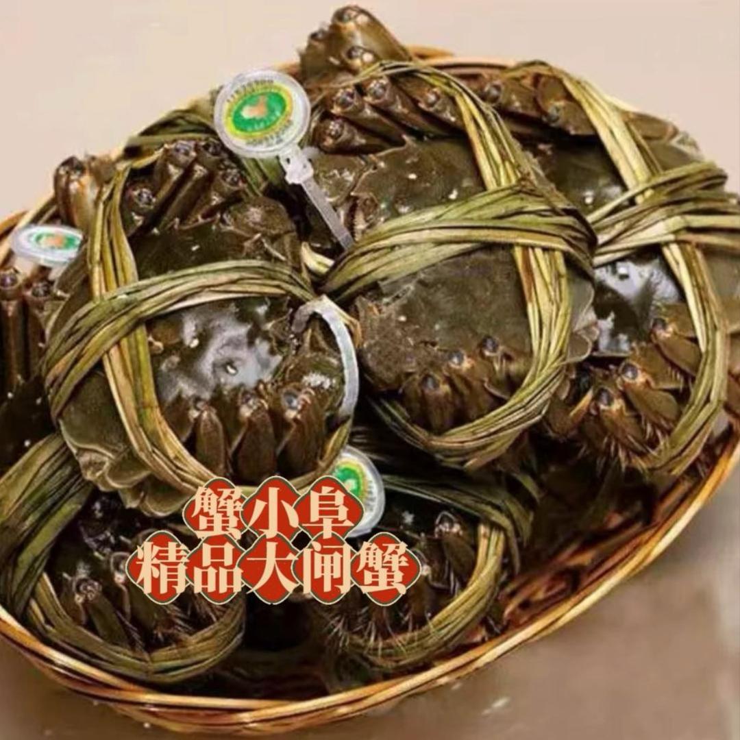 蟹小阜大闸蟹开发区店直播15