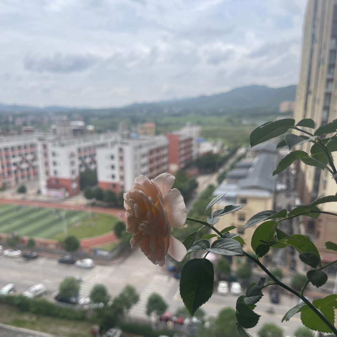 楠壹好物