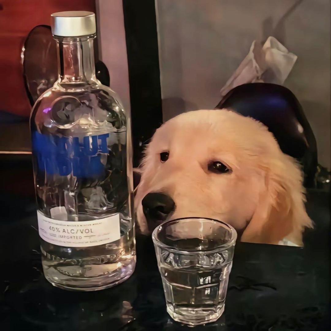 黎明软体—周赢