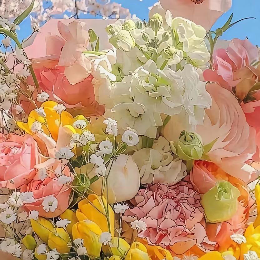 ☀️🌻Anna 🎊smile😊