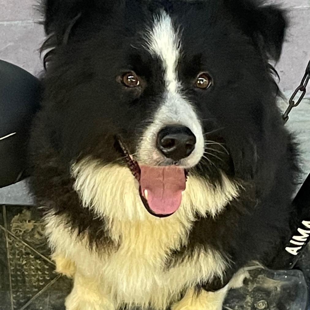 🌈🌈🌈🌈🌈🌈🌈