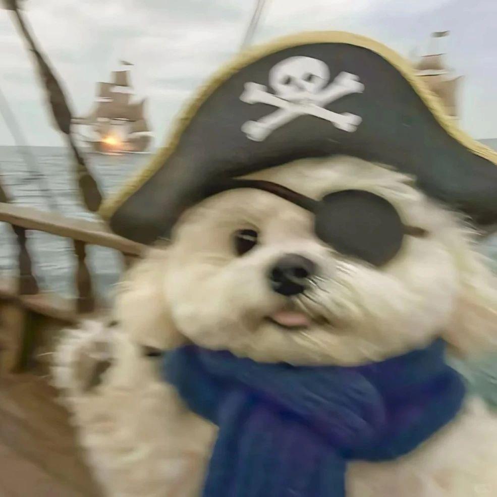 遛棉花糖的铲屎官