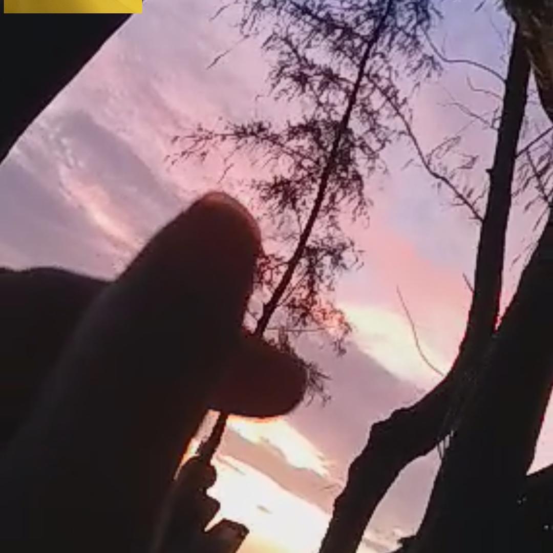 小嘉姐🌱
