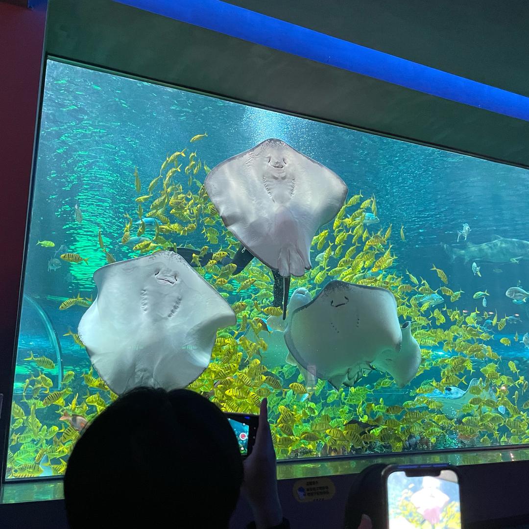 阿龙