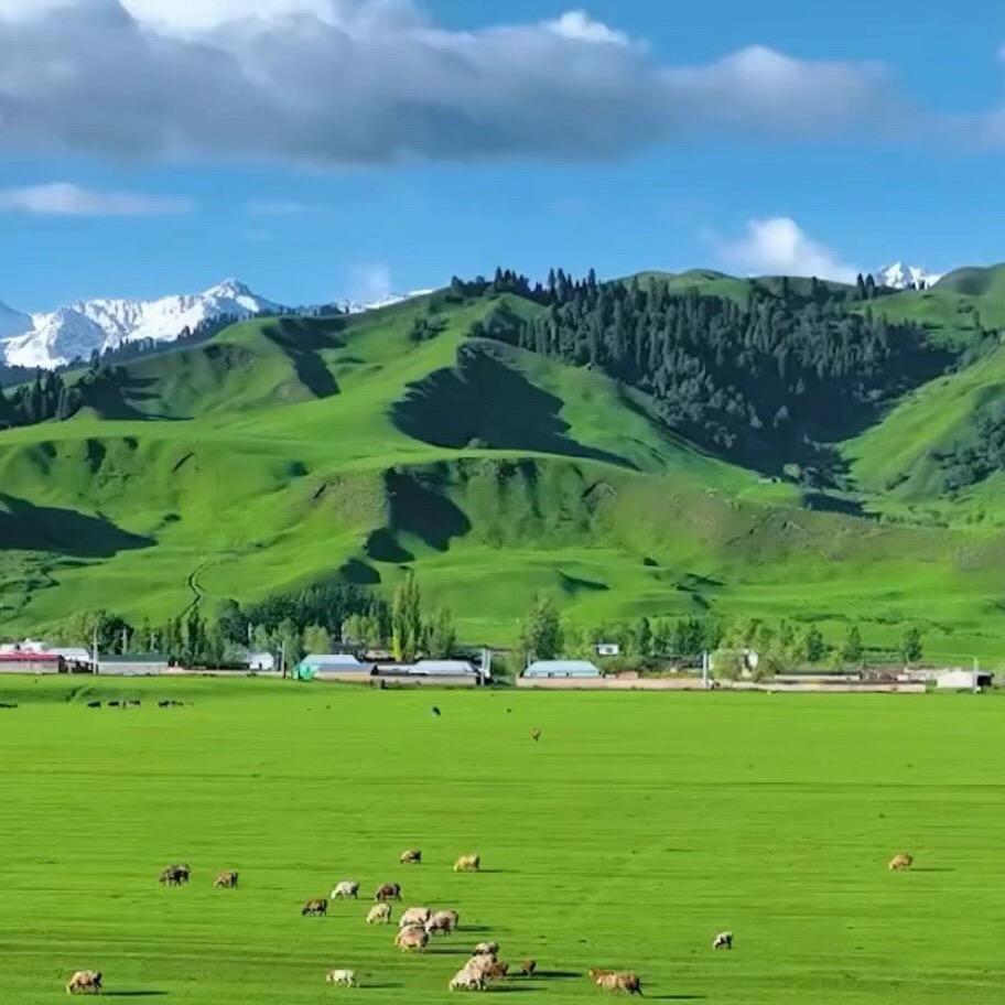 橙子健康拍打操