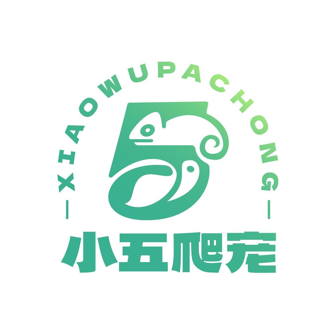 小五爬宠