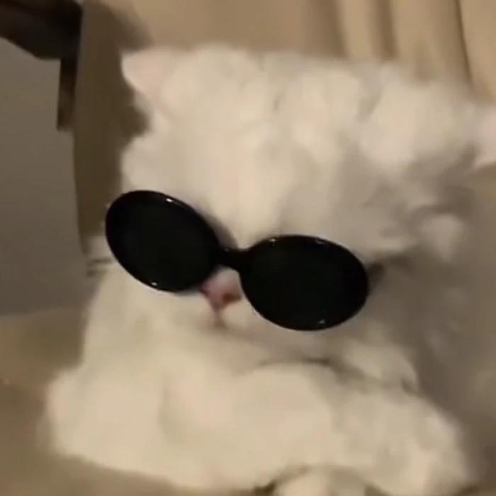 939（见过邓紫棋版）