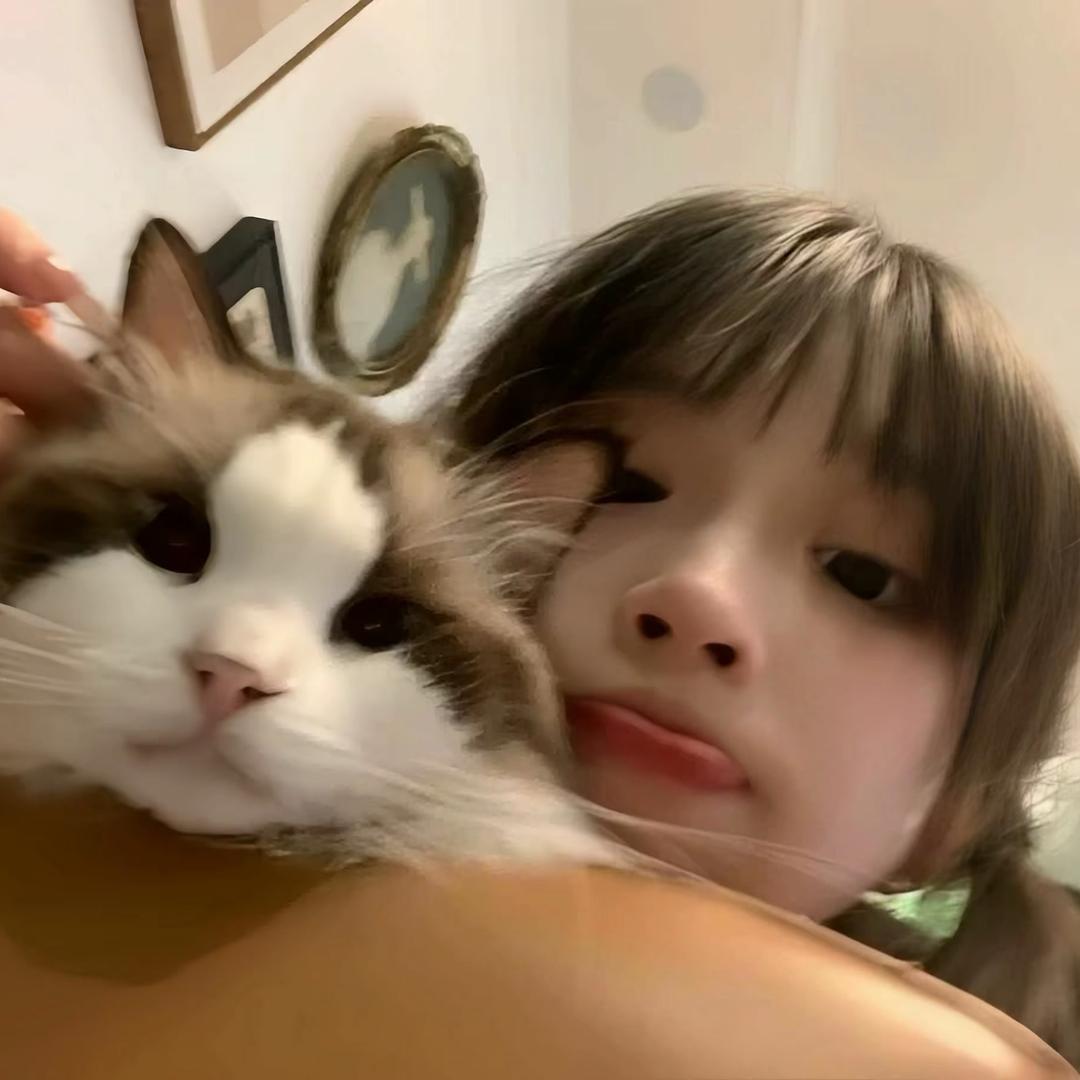 盼盼.