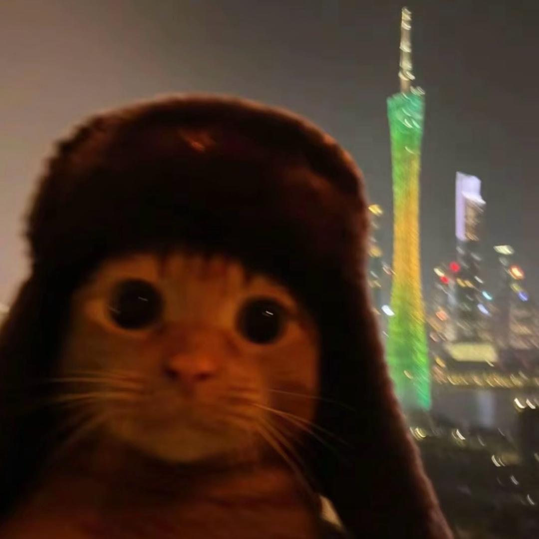 半只陈