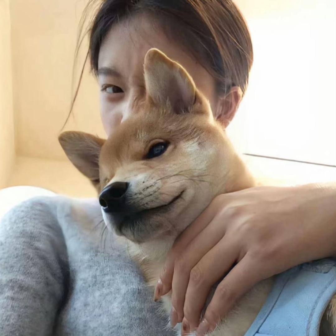 ㅤ  ㅤㅤ