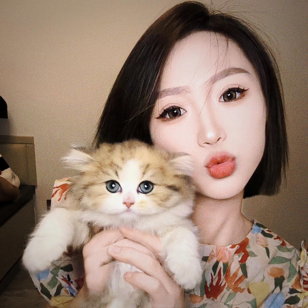 晨子-猫咪甄选🐱