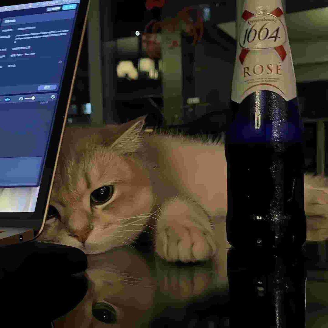 绊眠日记 （三角洲行动）