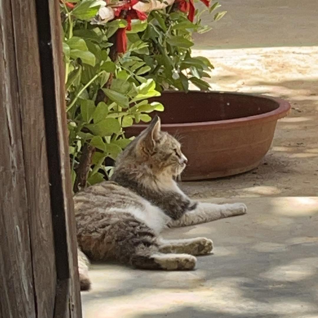 鼠鼠🐭