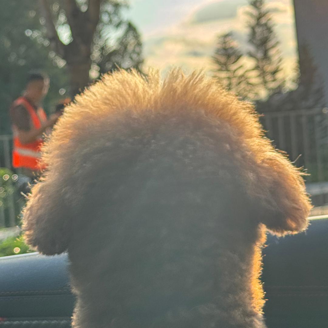 棠棠🧚🏻‍♀️