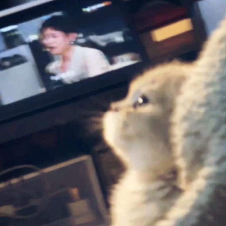 委屈就睡ᵇᵃ