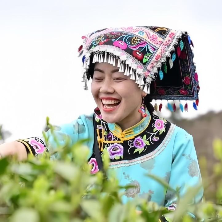 爱茶妹妹