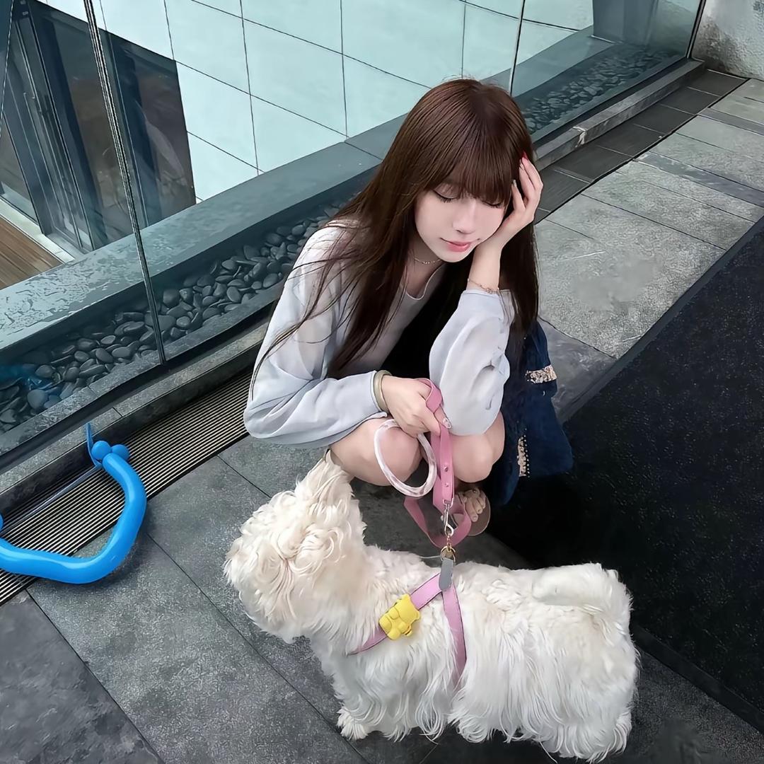会飞的拖鞋子