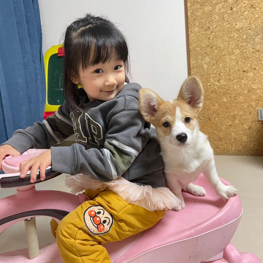 冉冉向晴