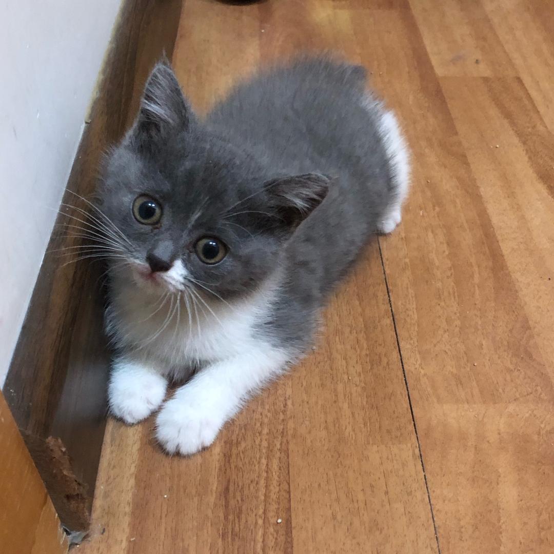 ╭(╯曾經☞的藍╰)╮