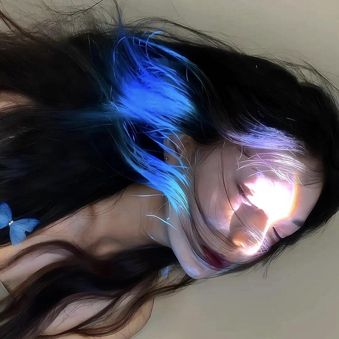 懒猫
