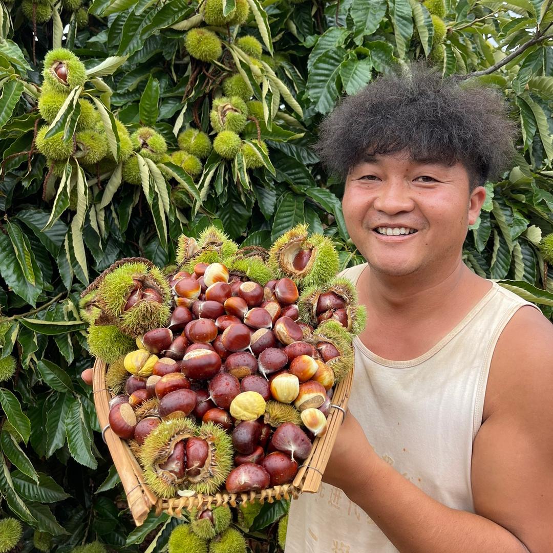 喜杨杨鲜果