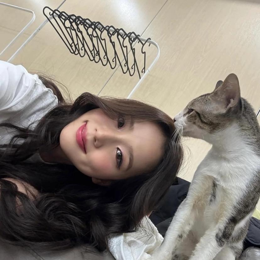 烦恼全部都滚蛋