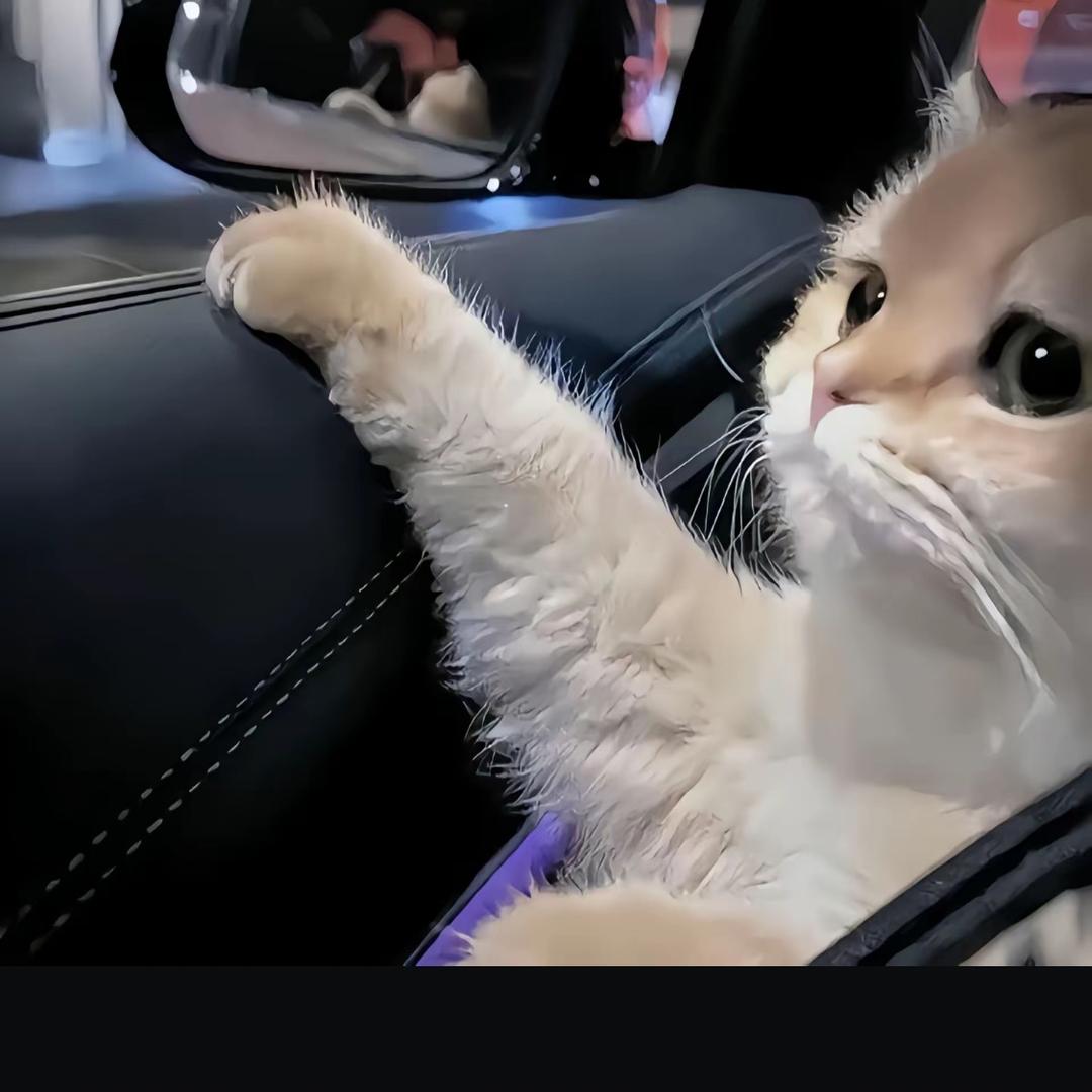 小小吃迷狂