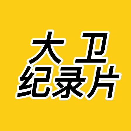 大卫纪录片