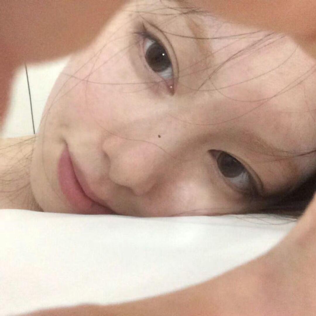 猫猫海