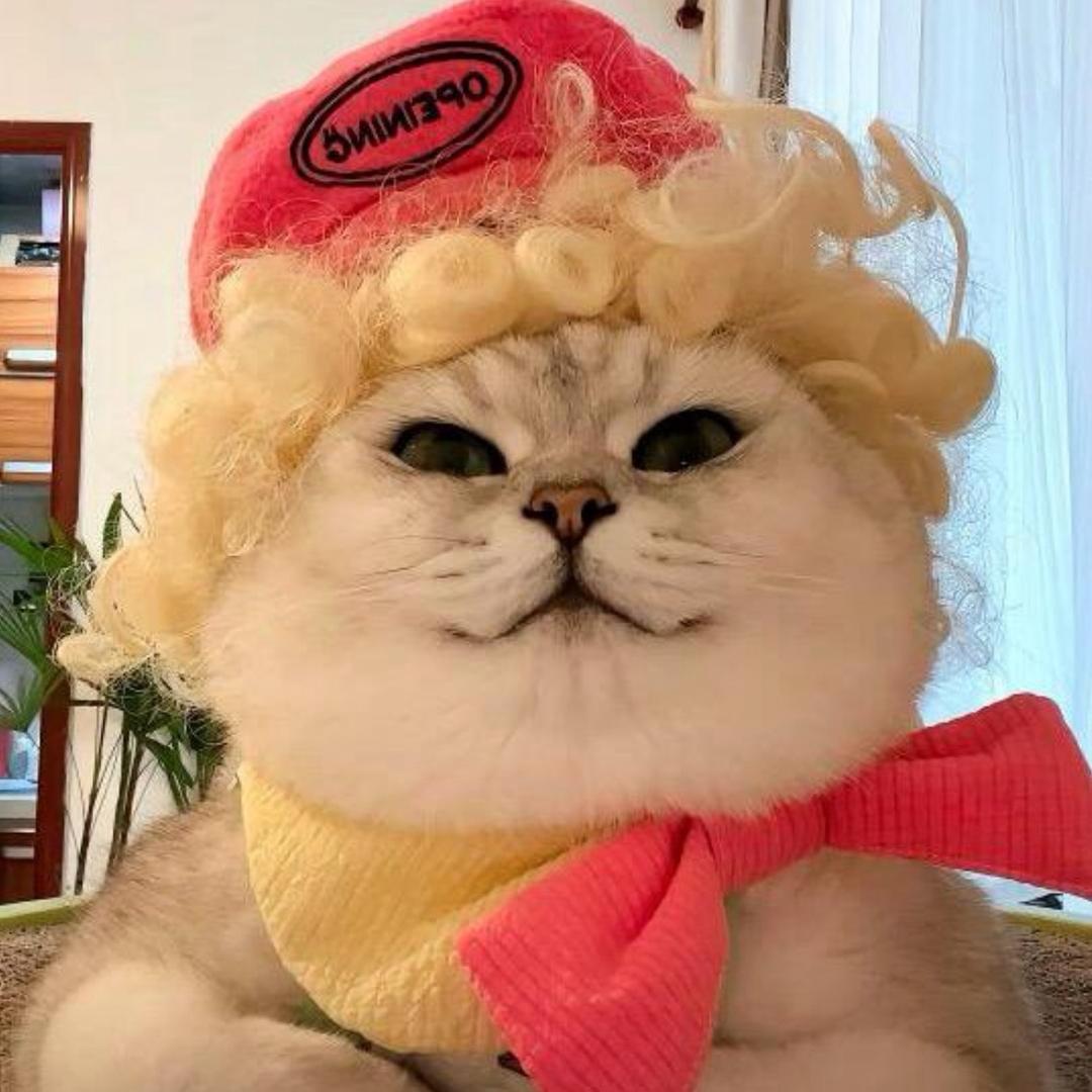 芬儿头成精了