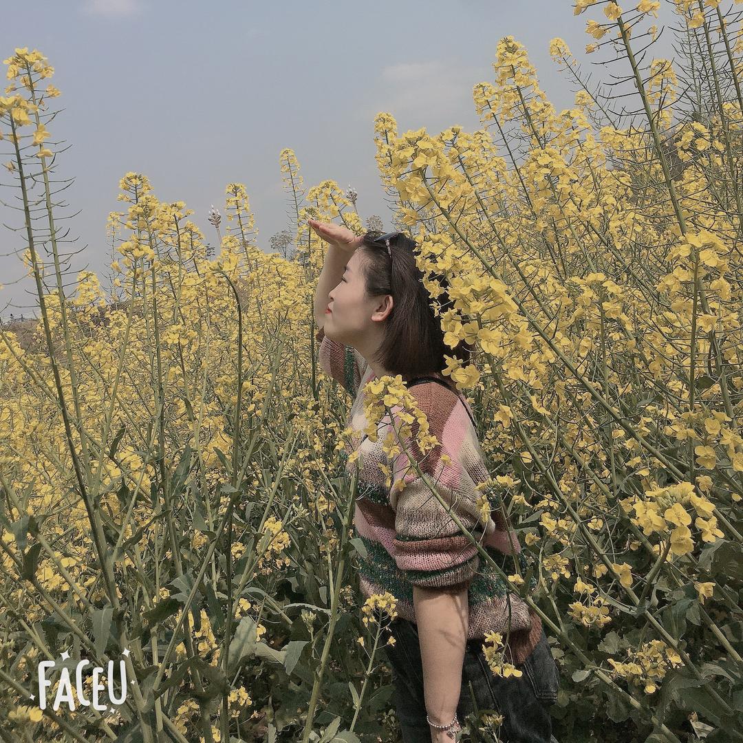 静心🌻