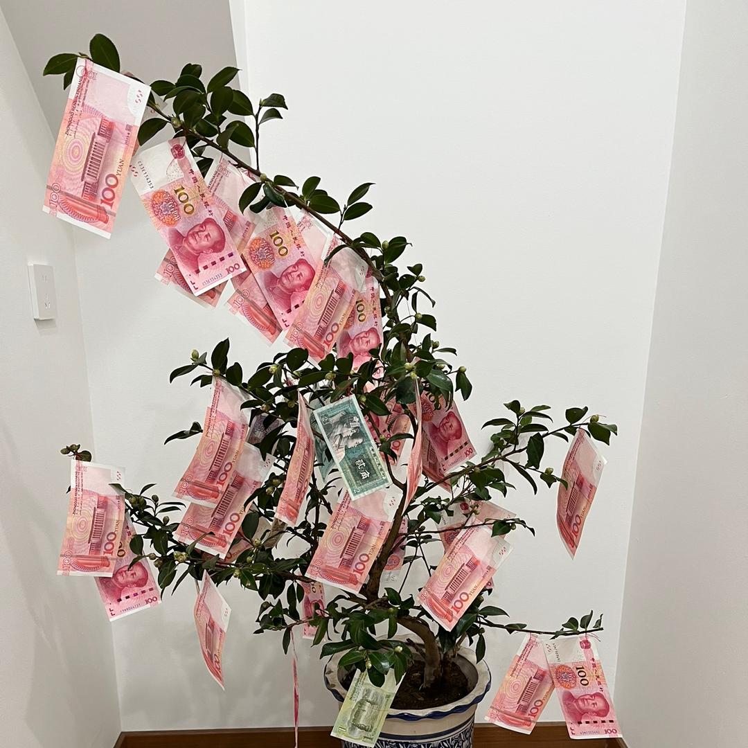 小小马要翻倍