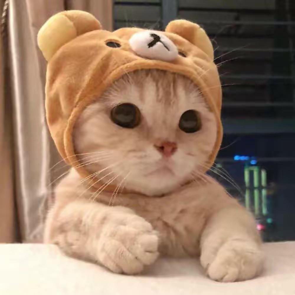 rrrrry