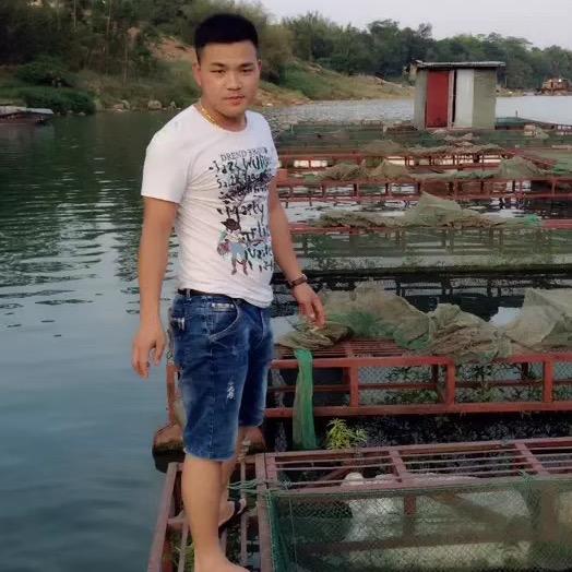 南宁辉达批发车汇  梁生