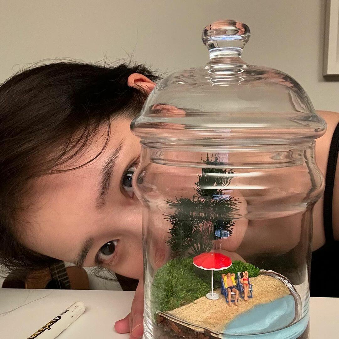 🍅番茄西红柿