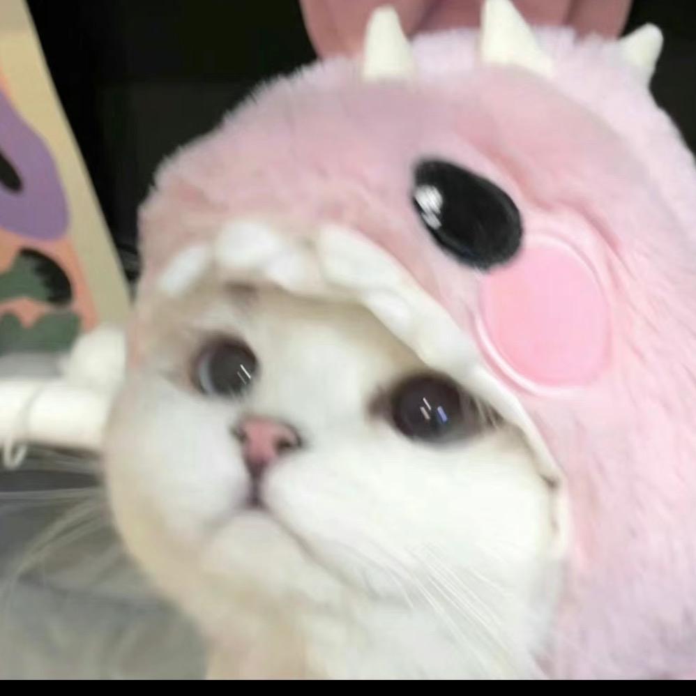 小喵冰🐱
